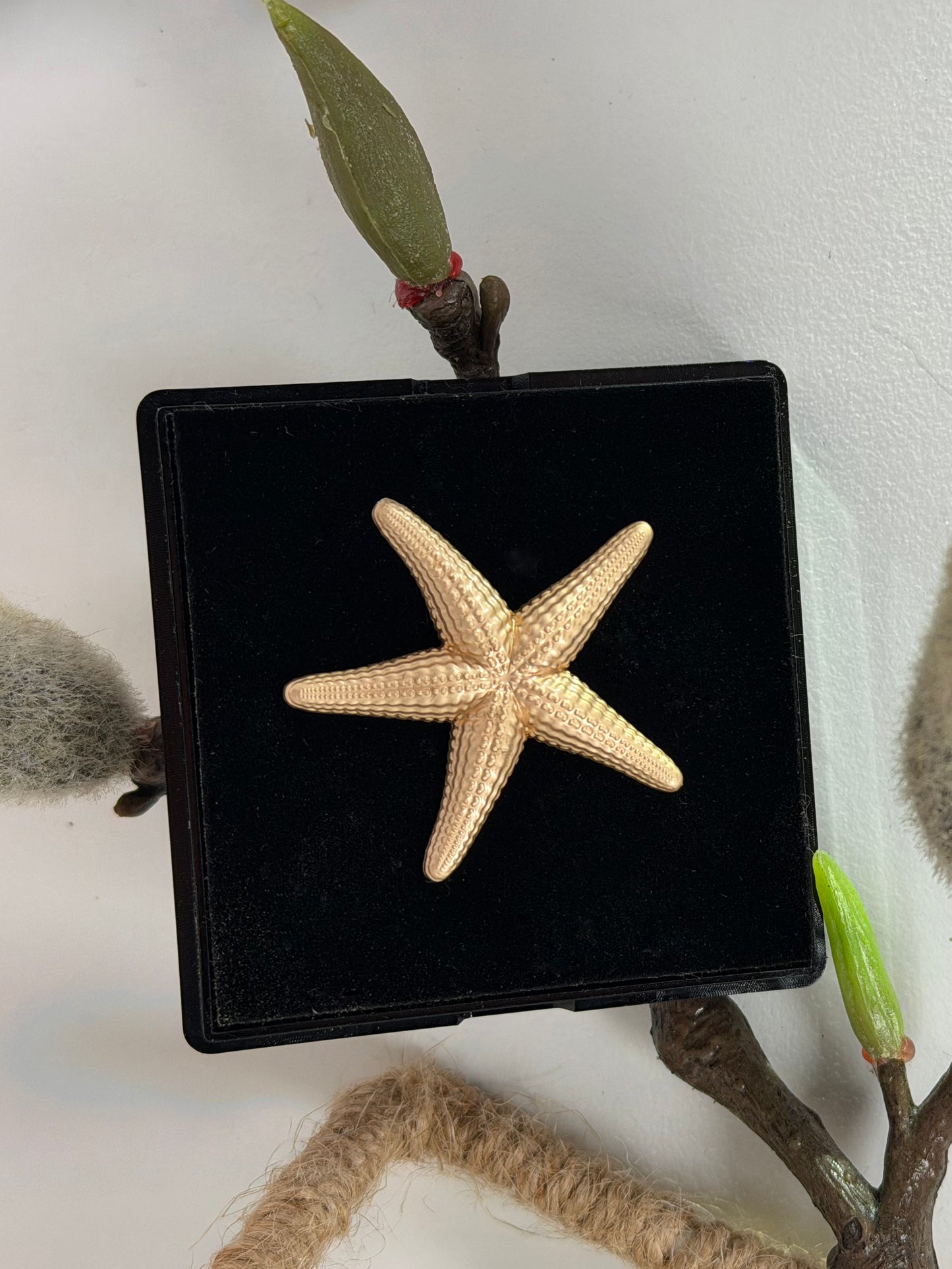 Starfish Lapel Pin