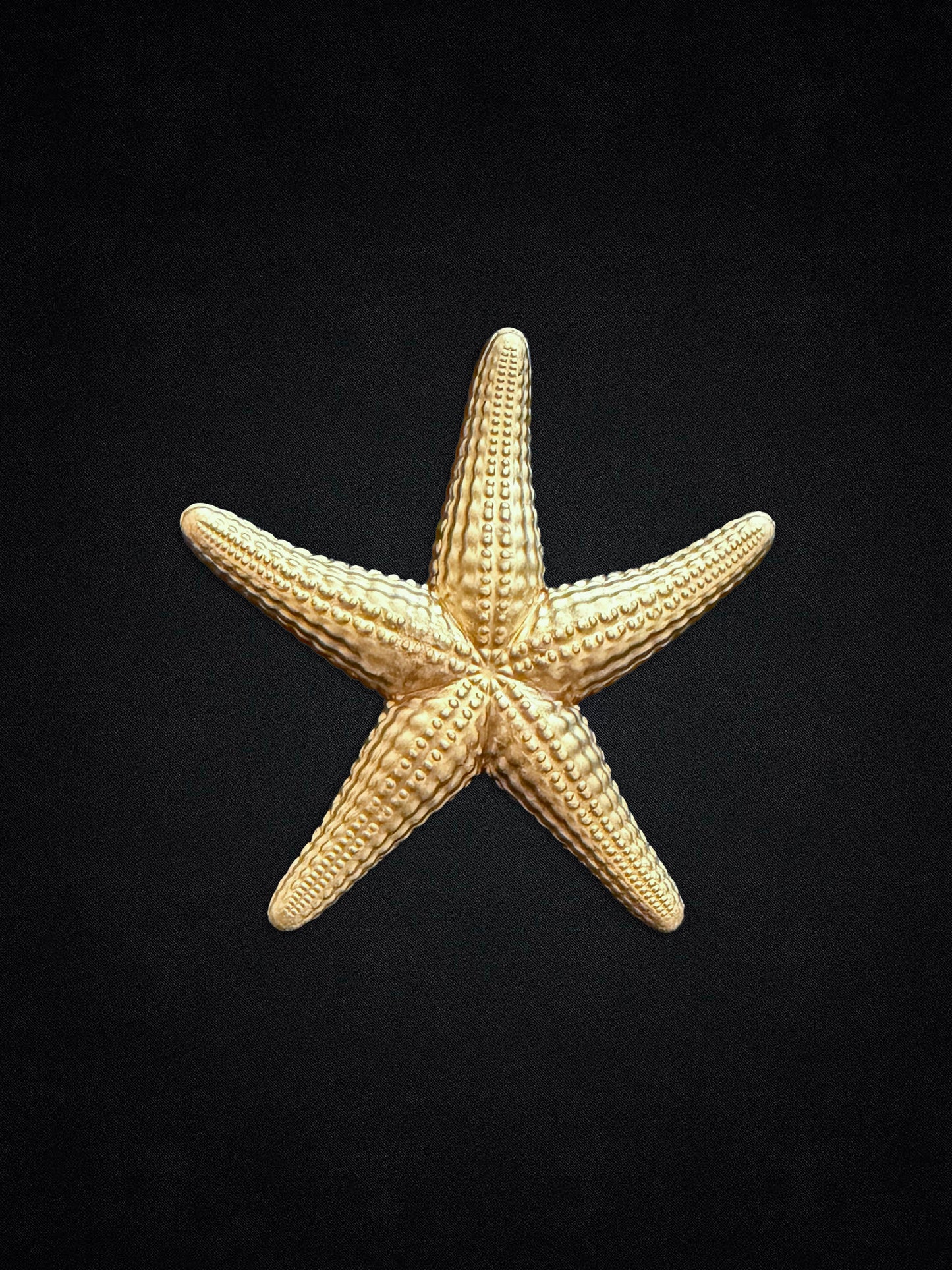 Starfish Lapel Pin