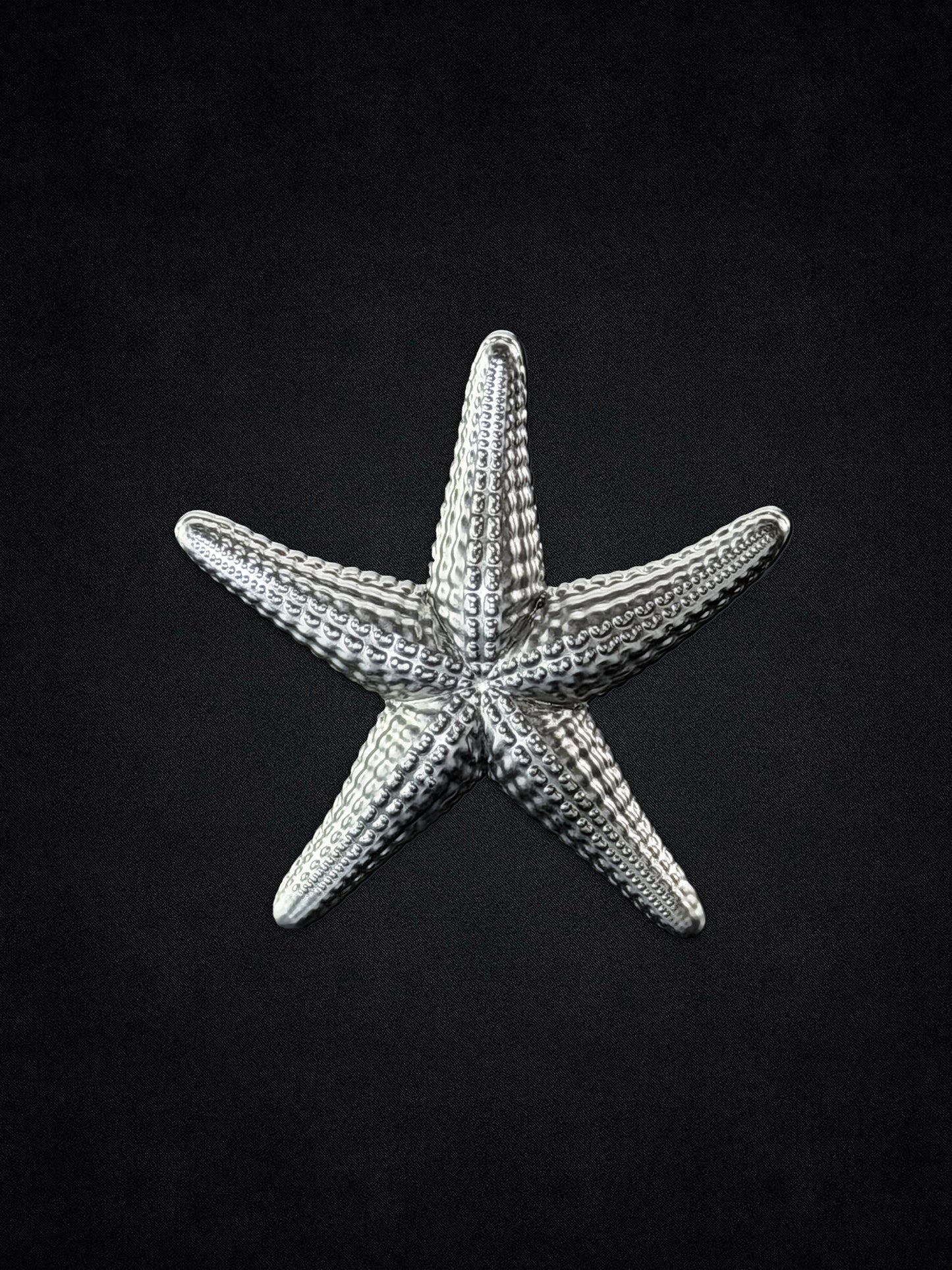 Starfish Lapel Pin